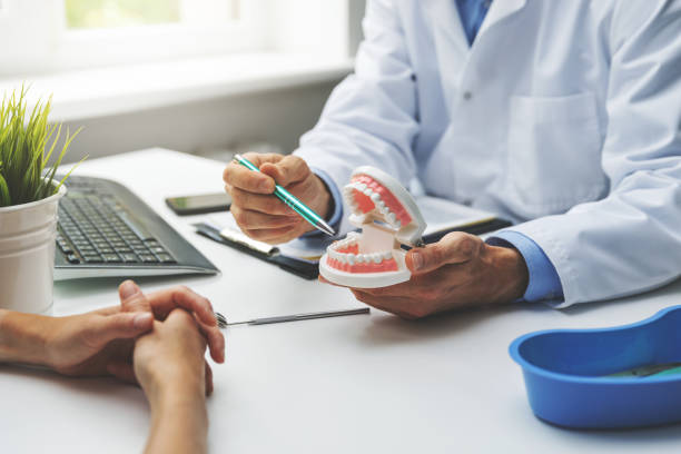 Reliable Harrisville, WV Holistic Dental Care Services Solutions